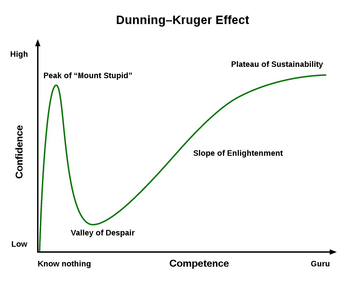 1200px Dunning–Kruger Effect 01.svg